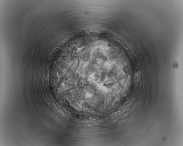 X0000100220772200806131313