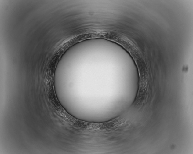 X0000100220773200806131313