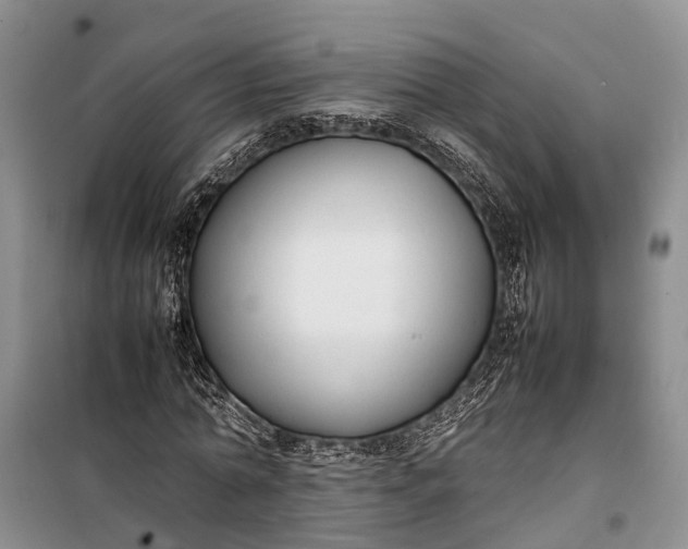 X0000100220774200806131313