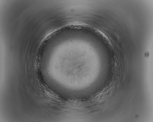 X0000100220775200806131313