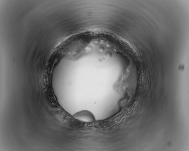 X0000100220776200806131313