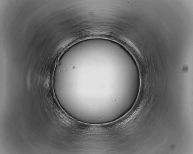 X0000100220777200806131313