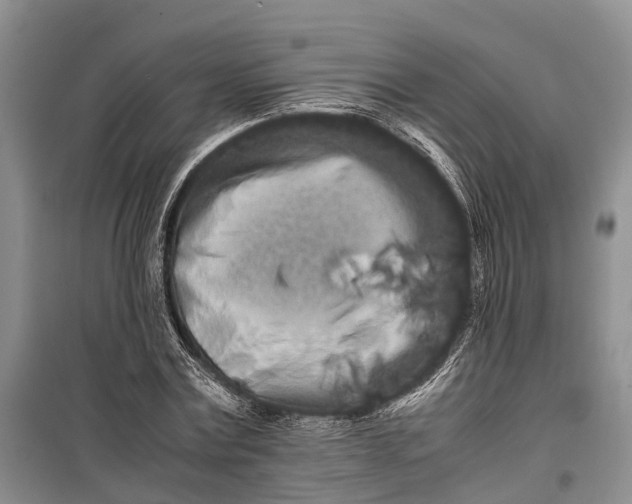 X0000100220779200806131313