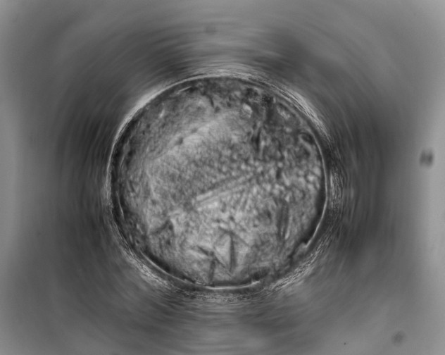 X0000100220780200806131313