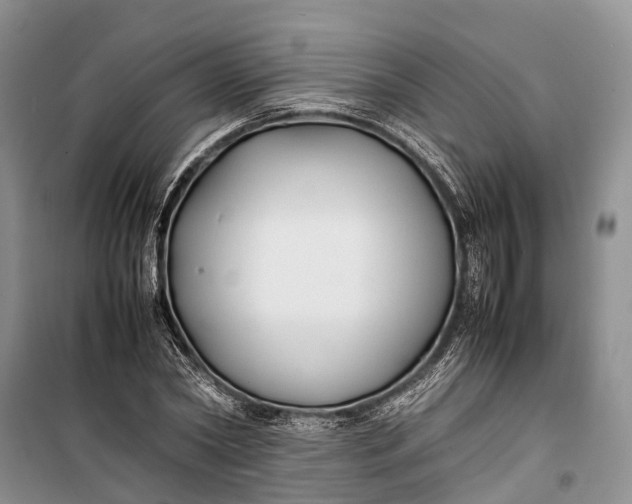 X0000100220782200806131313