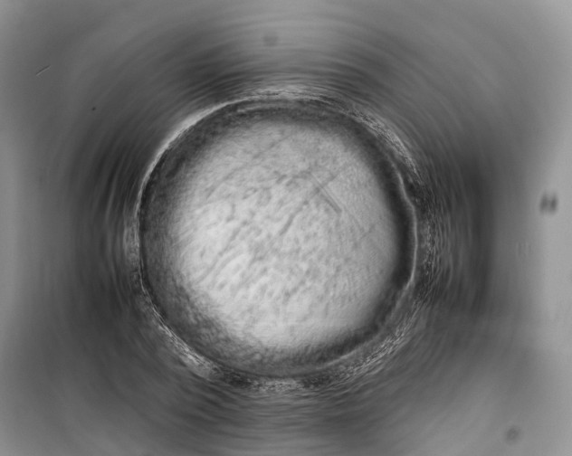 X0000100220784200806131313