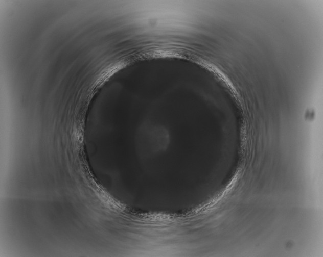 X0000100220785200806131313