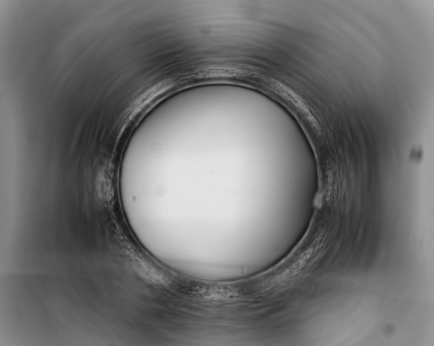 X0000100220786200806131313