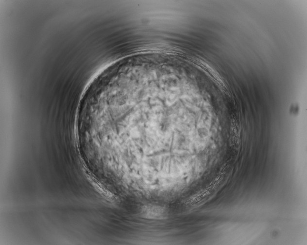 X0000100220788200806131313