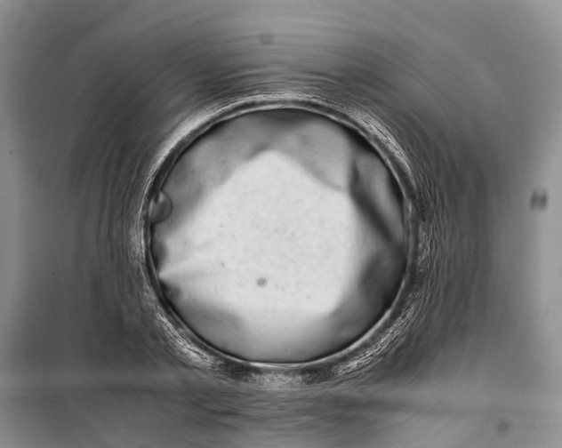 X0000100220789200806131313