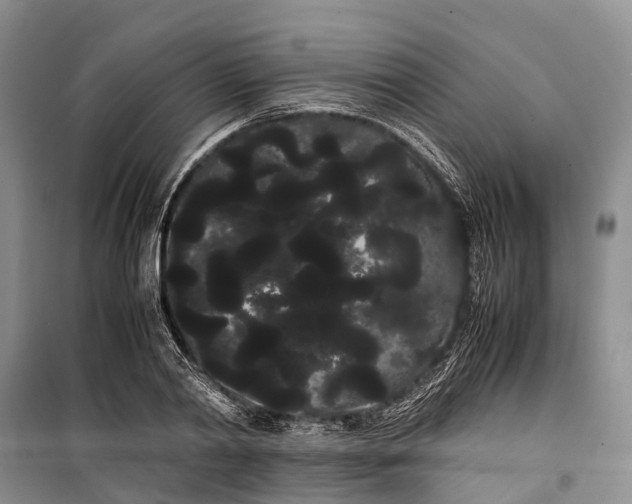 X0000100220790200806131313