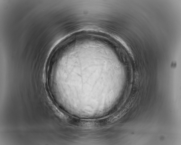 X0000100220791200806131313