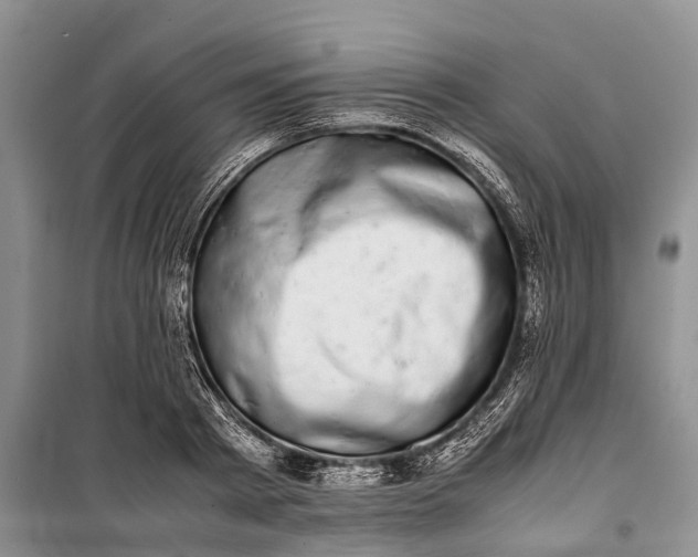 X0000100220793200806131313