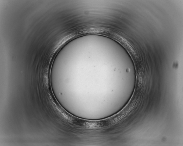 X0000100220794200806131313