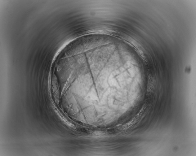 X0000100220796200806131313