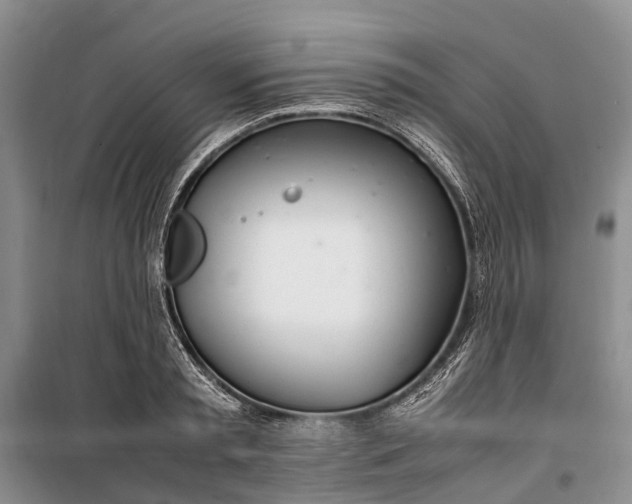 X0000100220797200806131313