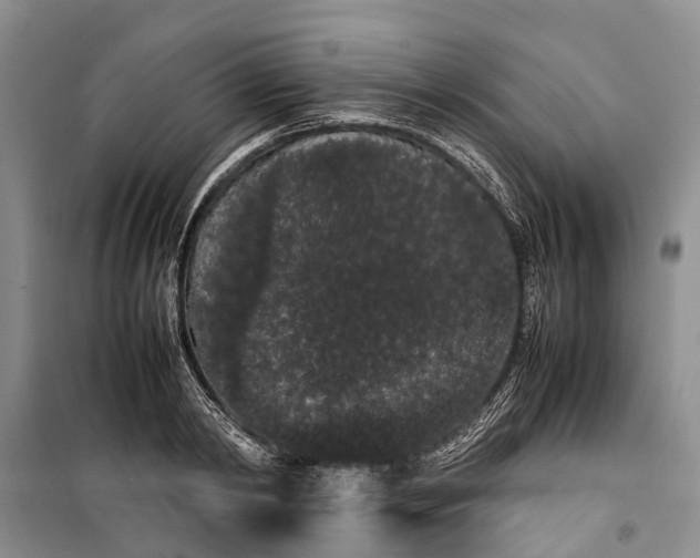 X0000100220798200806131313