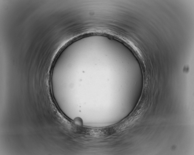 X0000100220799200806131313