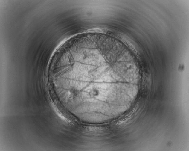 X0000100220800200806131313