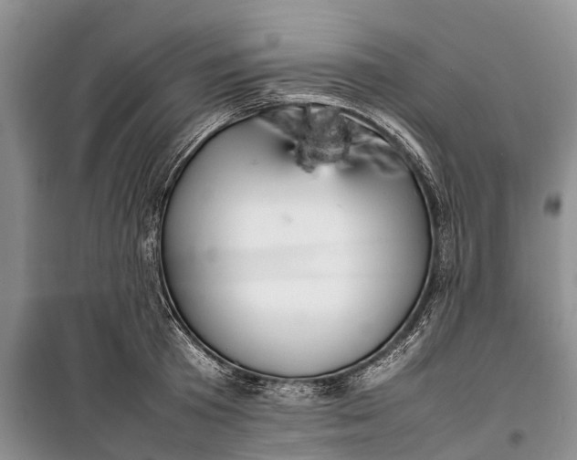 X0000100220801200806131313