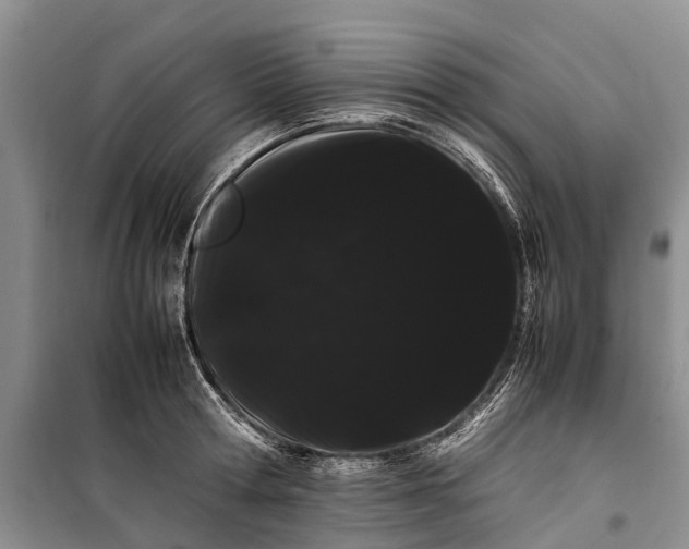 X0000100220802200806131313