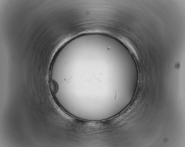 X0000100220805200806131313