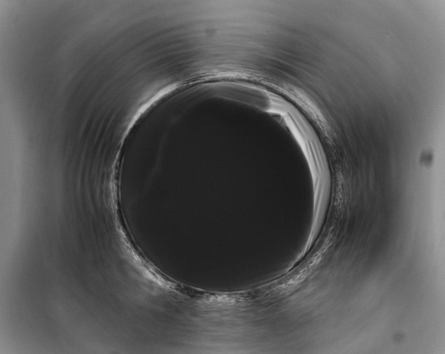 X0000100220806200806131313