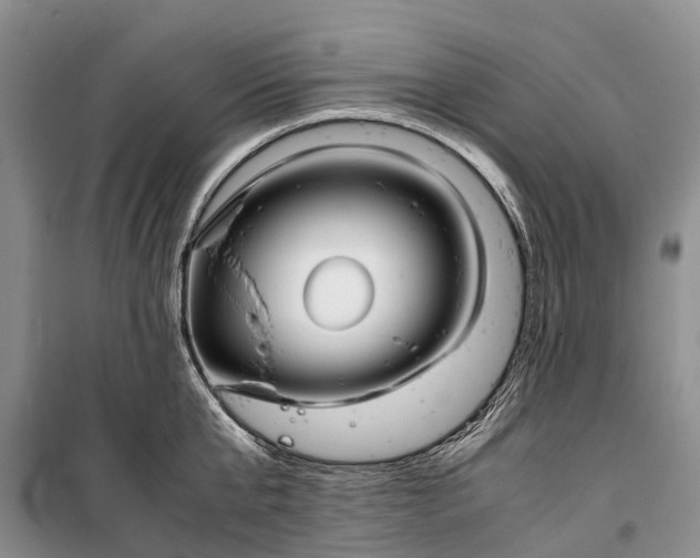 X0000100220807200806131313