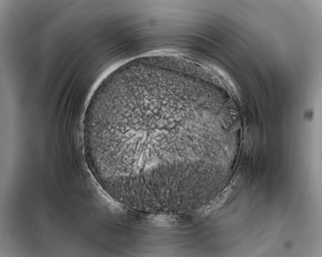 X0000100220808200806131313