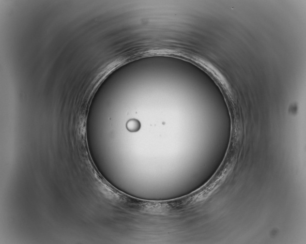 X0000100220809200806131313