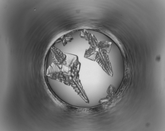 X0000100220811200806131313