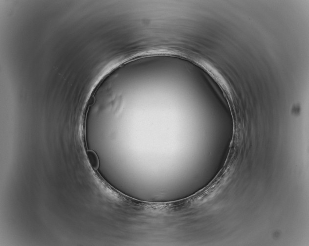 X0000100220813200806131313