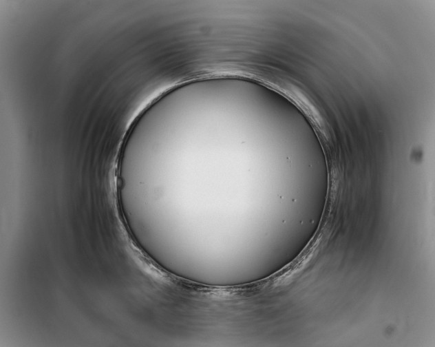 X0000100220814200806131313