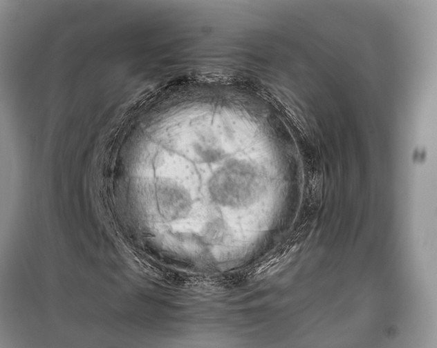 X0000100220817200806131312