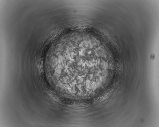 X0000100220818200806131312