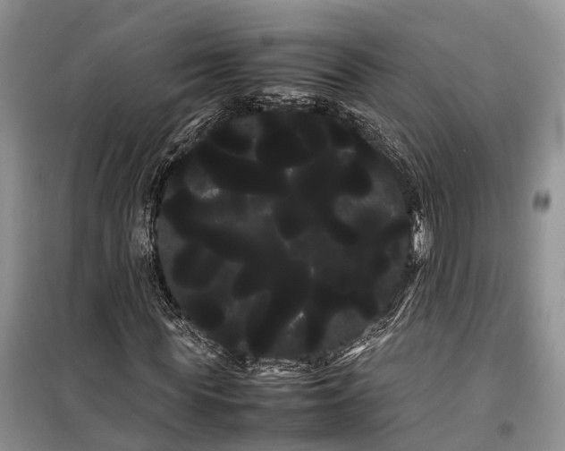 X0000100220819200806131312