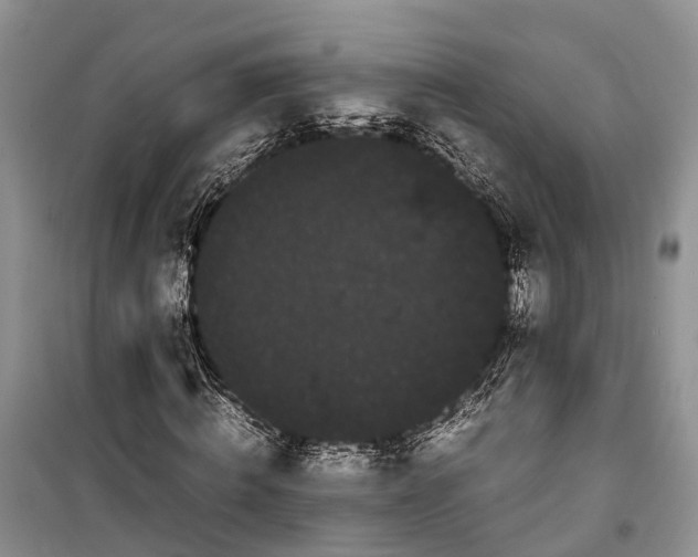 X0000100220820200806131312