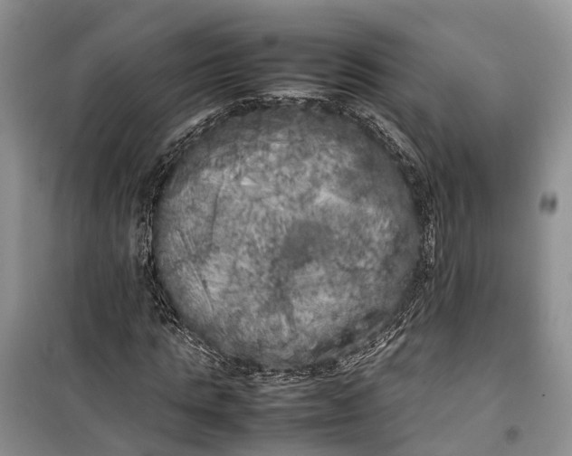 X0000100220821200806131312