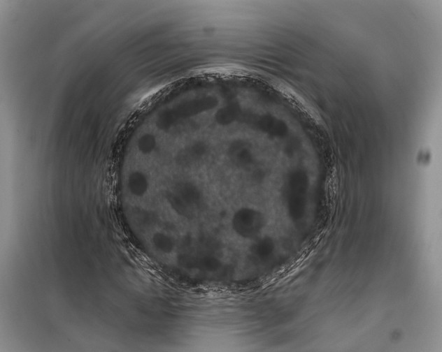 X0000100220822200806131312