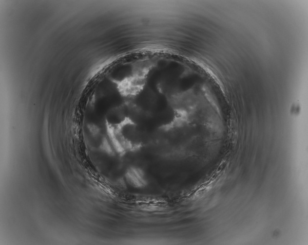 X0000100220823200806131312