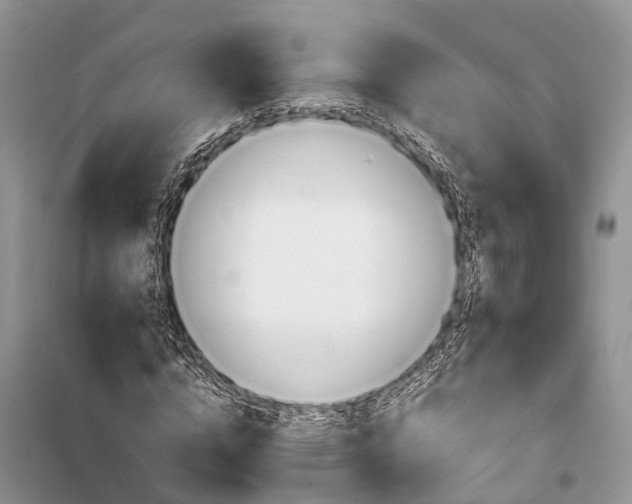 X0000100220824200806131312