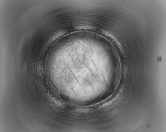 X0000100220825200806131312