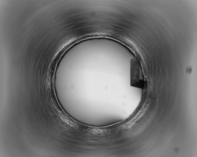 X0000100220827200806131312