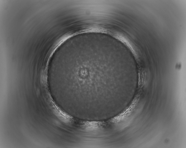 X0000100220828200806131312