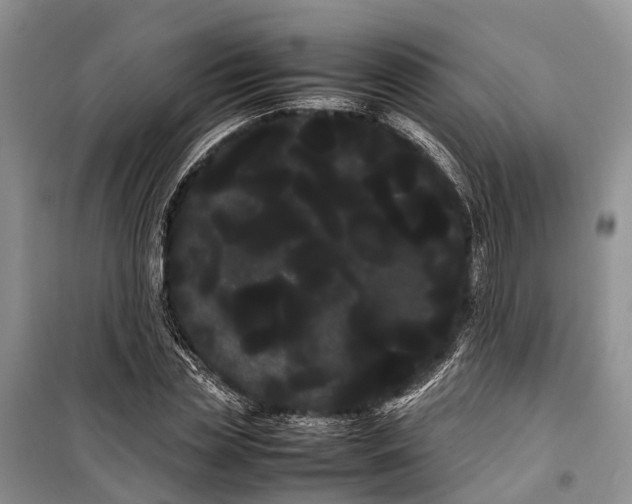 X0000100220829200806131312