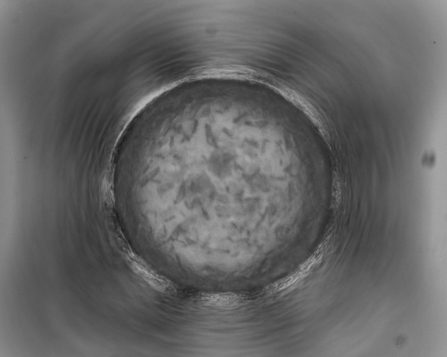 X0000100220830200806131312