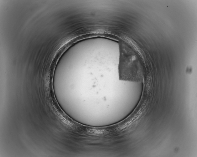 X0000100220831200806131312