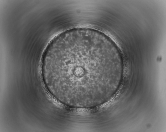 X0000100220832200806131312