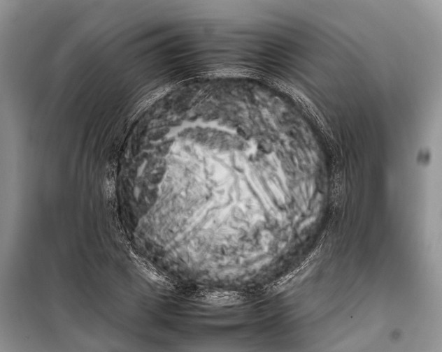 X0000100220833200806131312