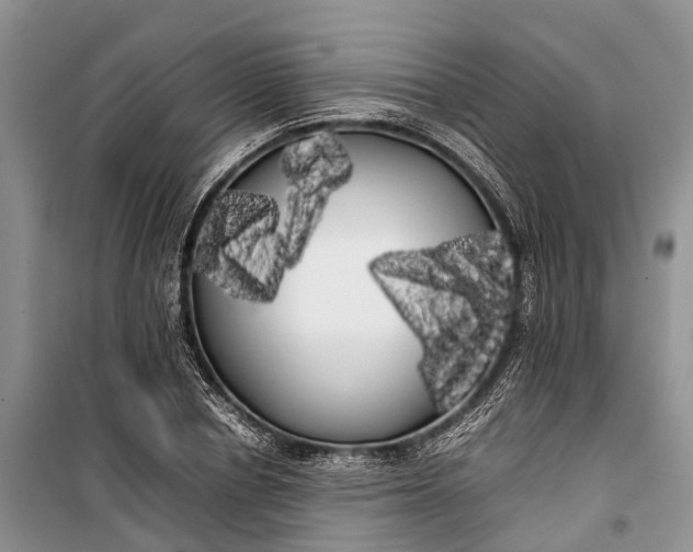 X0000100220834200806131312